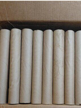 100 Empty Paper Towel TP Rolls for Arts & Crafts, Church, School, Projects